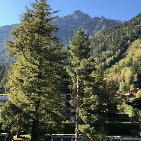 Brevent - Meleze Chamonix