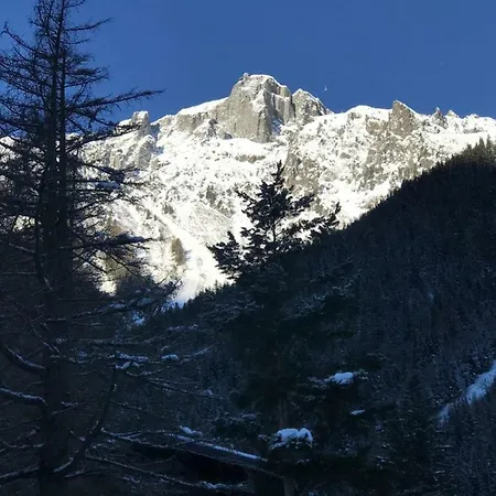 Brevent - Meleze